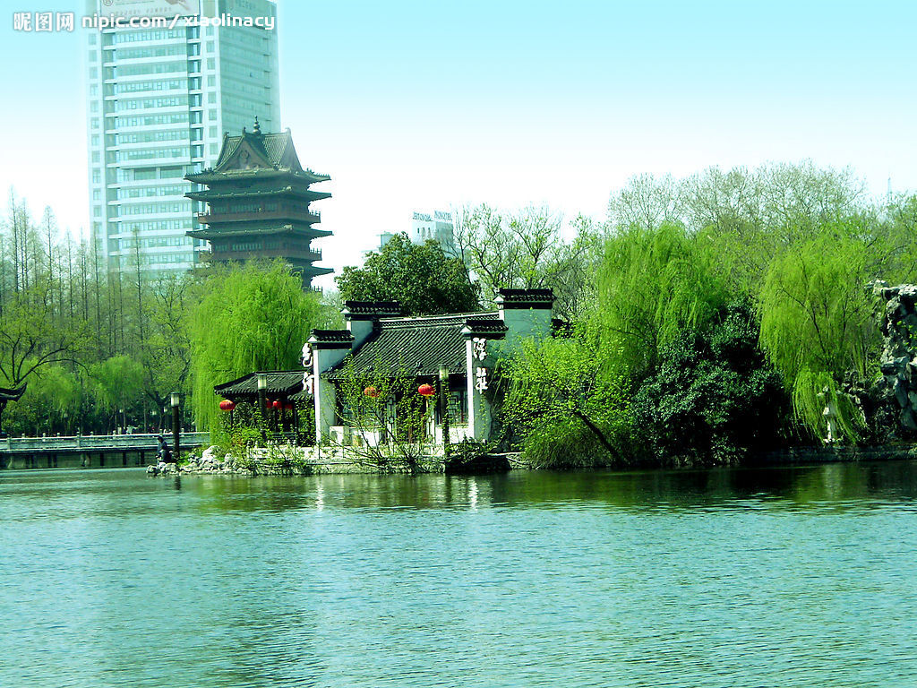 20081158952606_2.jpg
