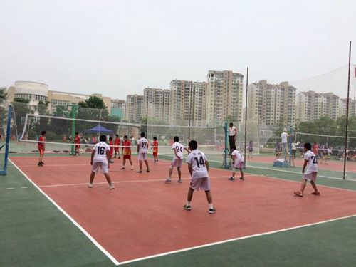 合肥市小学排球赛在合肥市四十八中学望湖校区举行