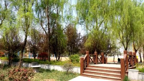合肥幼师黄麓师范学校